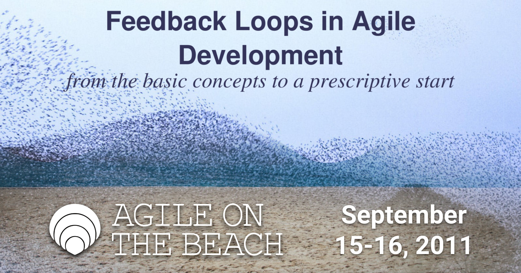 Feedback Loops in Agile Development